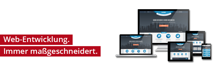 webentwicklung